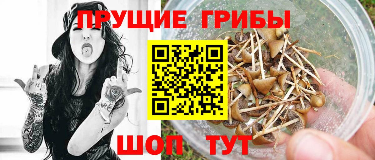 Славгород  Галлюциногенные грибы ЛСД  Вход с VPN 
