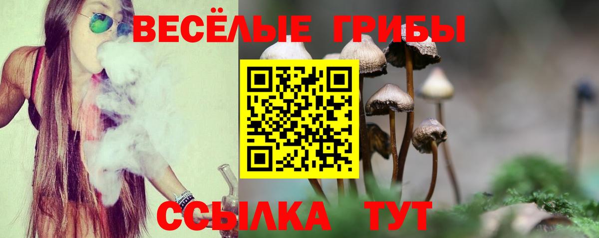 Галлюциногенные грибы мухоморы Славгород